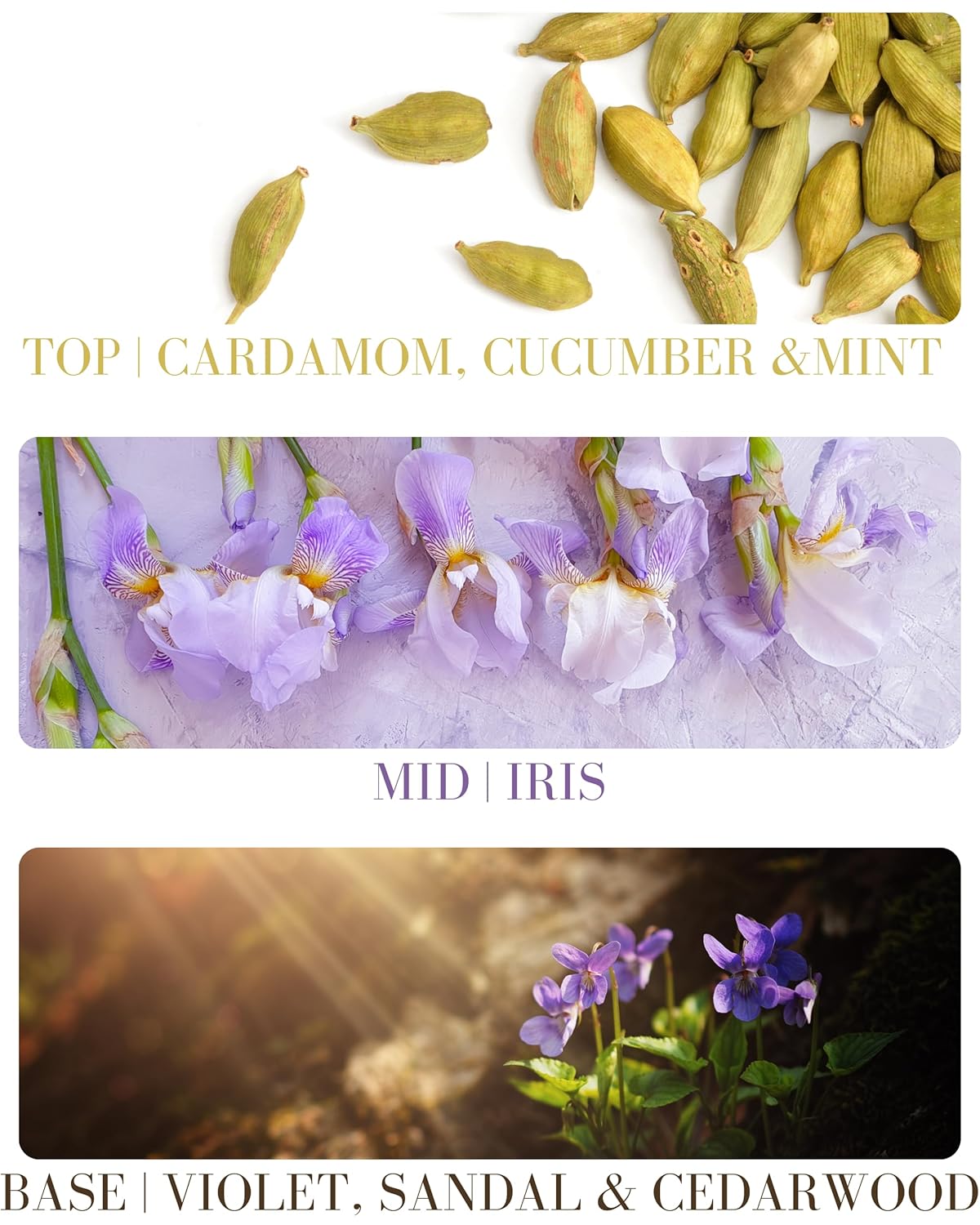 Santal Natural Hair & Body Mist Spray, Pure Essential and Fragrance Oils, Alcohol-Free, Handmade in California, 0.5Fl Oz