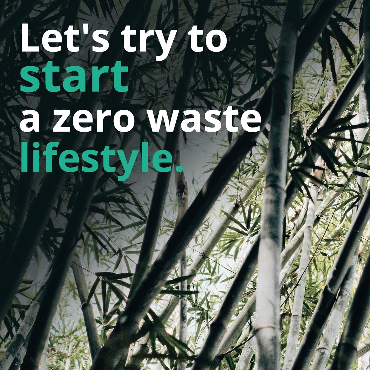 Langsprit Absorbent Reusable Menstrual Sanitary Pads/Washable Cloth Menstrual Period Pads,Reusable Panty Liners(Winter,M)