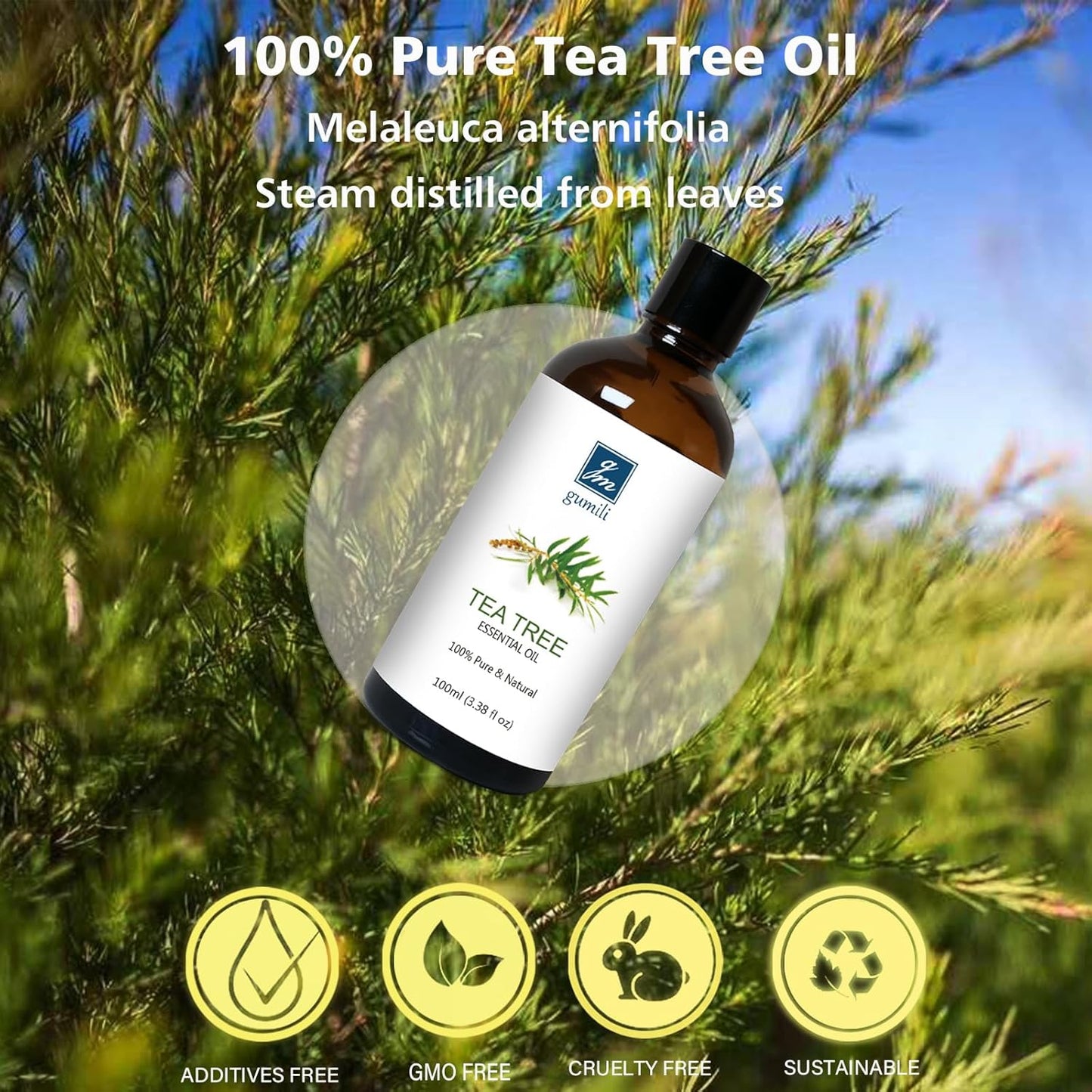 Tea Tree Essential Oil 200ML, Pure Tea Tree Oil for Diffuser Aromatherapy Beauty Care Home Cleansing