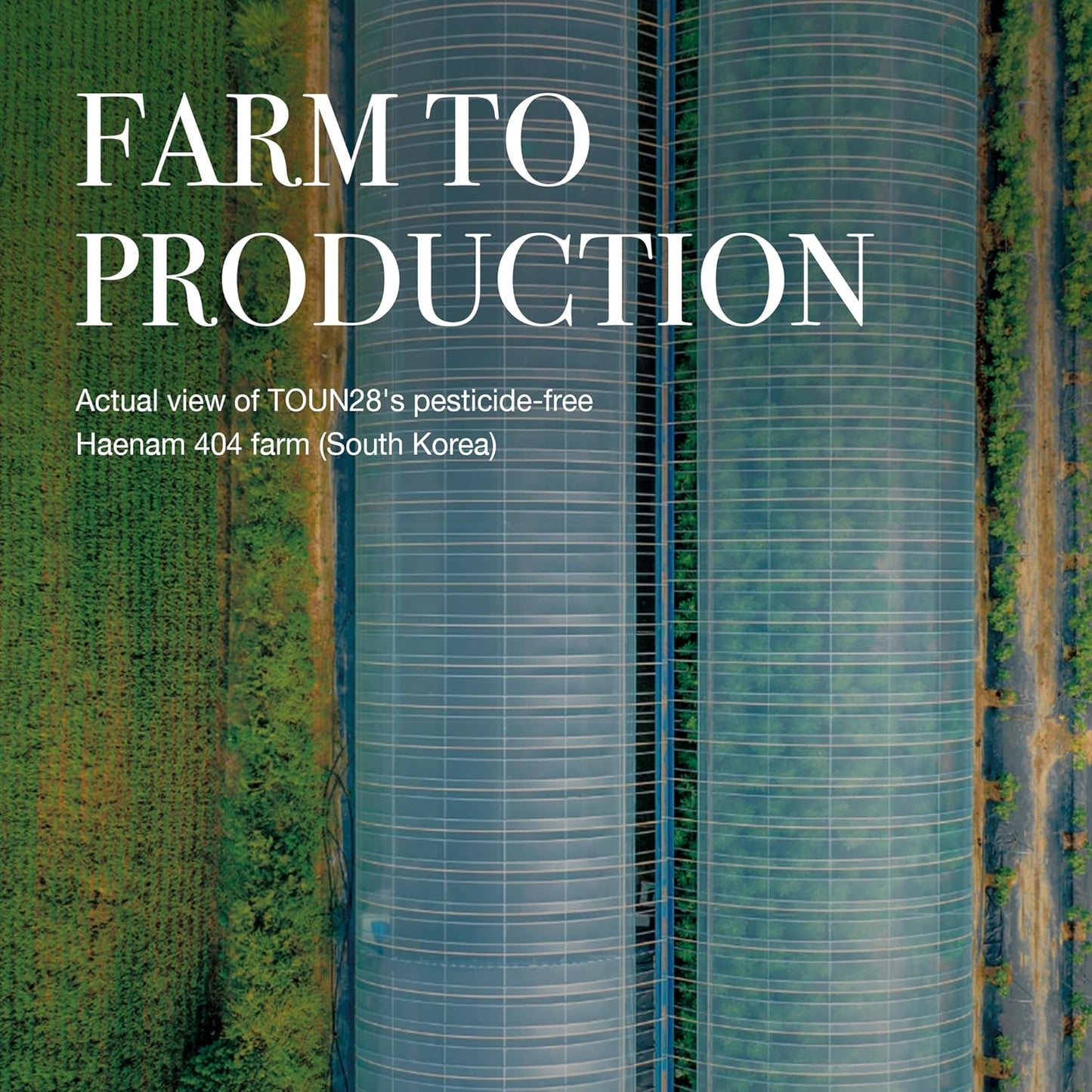 TOUN28 PEPTACICA Serum 1.01 fl.oz | 69.1% Centella Asiatica Extract – Moisturizing | Korean Skincare for Sensitive Skin