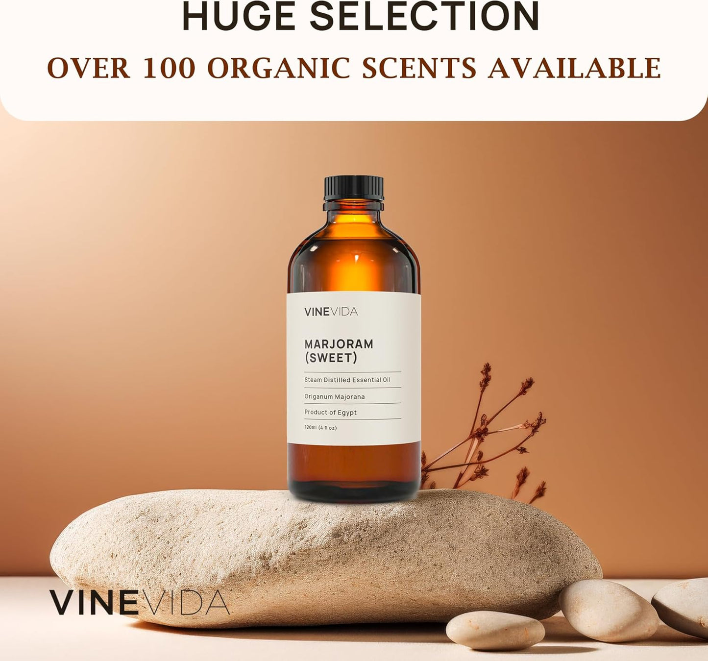 VINEVIDA Melissa Leaf Essential Oil 10 mL - Pure, Undiluted