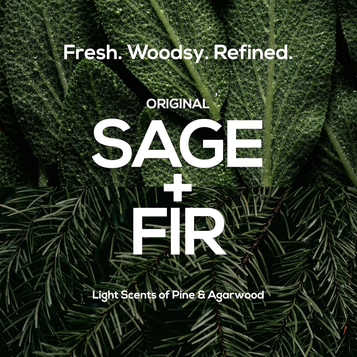 MARLOWE. Men's Shampoo and Conditioner Set, No. 172 Shampoo 8 oz & No. 173 Conditioner 6 oz, Moisturizing Argan & Coconut, Fresh Woodsy Scent, All Hair Types