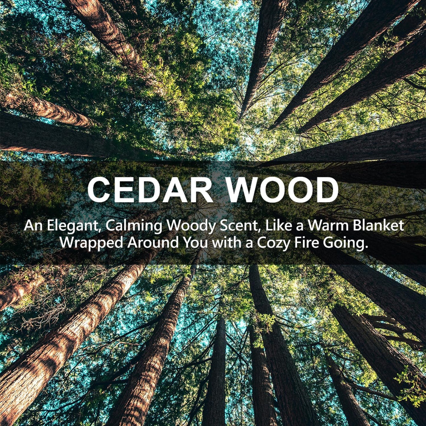 Large 12 Packs Cedar Wood Hanging Closet Deodorizer Air Freshener Long Lasting Scented Sachets Smell Goods for House